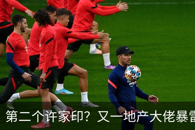 第二个许家印？又一地产大佬暴雷，涉案超200亿，现已被立案调查